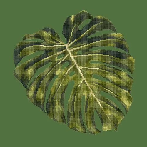 Monstera Leaf