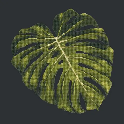 Monstera Leaf