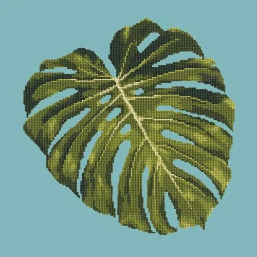Monstera Leaf
