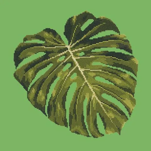 Monstera Leaf