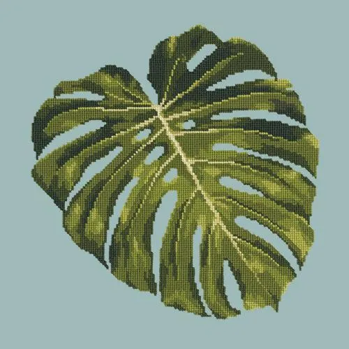 Monstera Leaf
