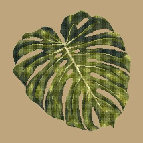 Monstera Leaf