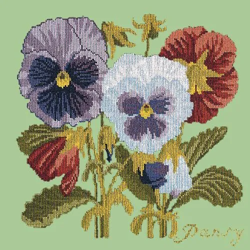 Pansy