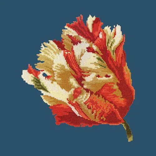 Parrot Tulip