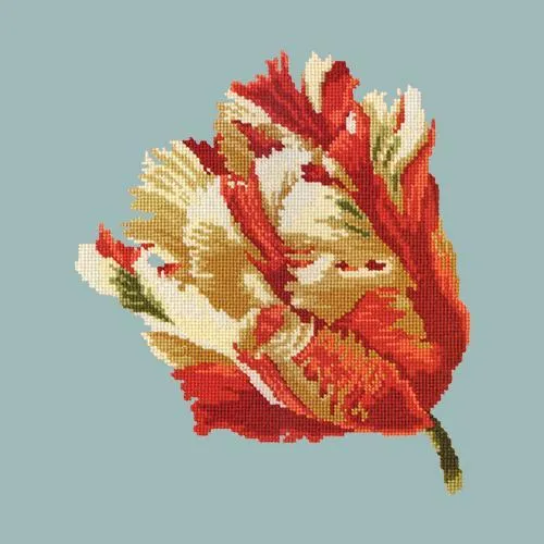 Parrot Tulip
