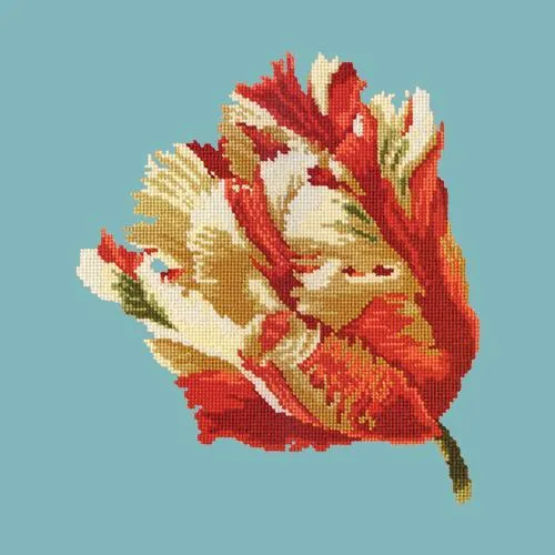 Parrot Tulip