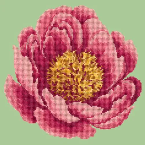 Peony