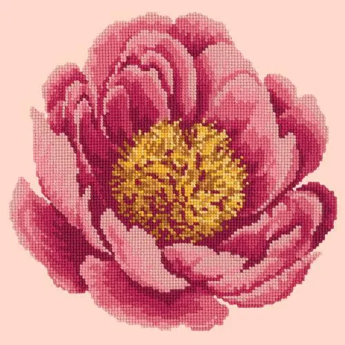 Peony