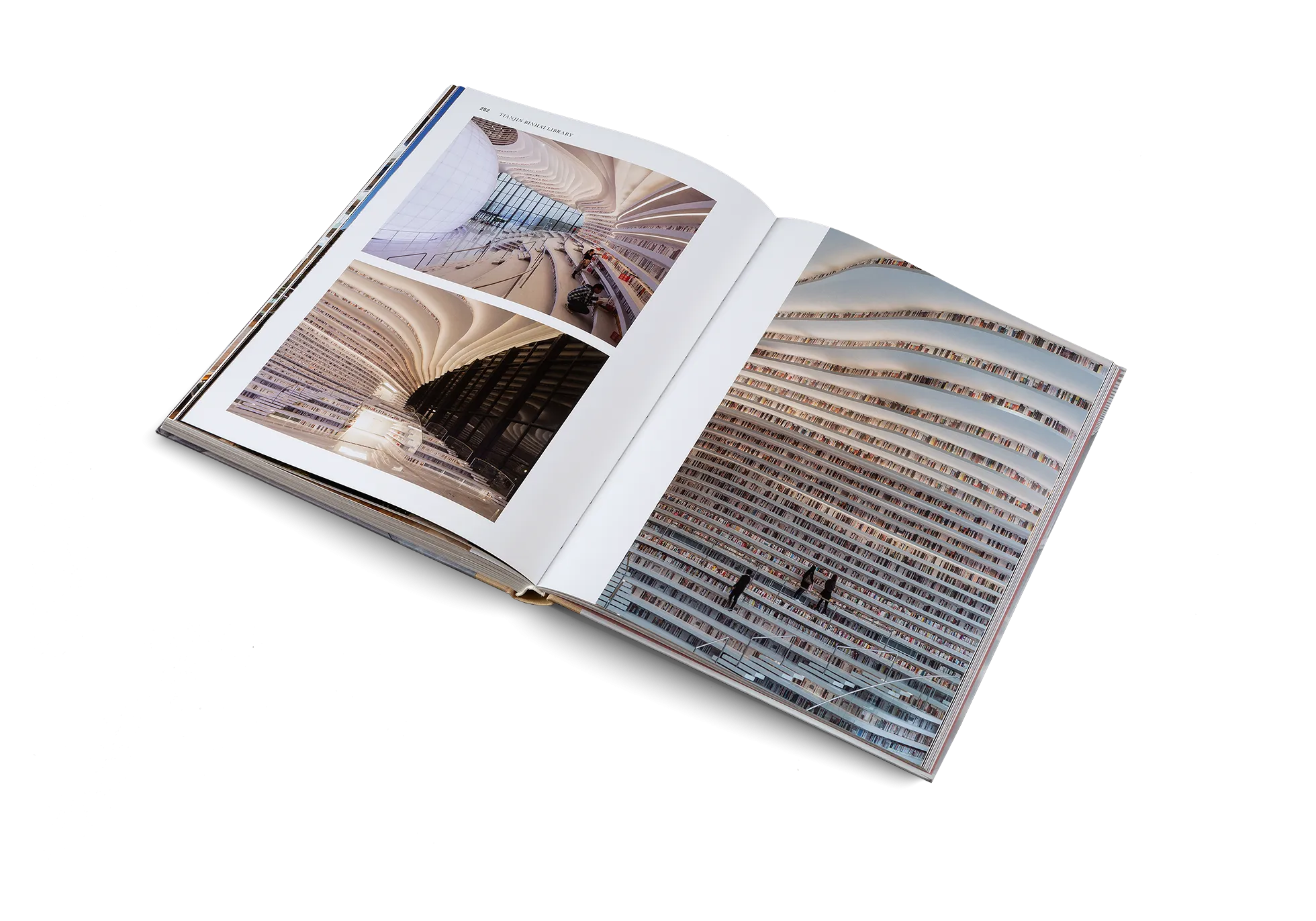 Temples of Books