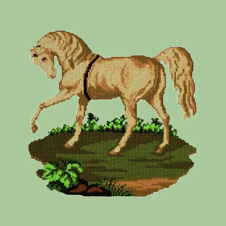 The Palomino