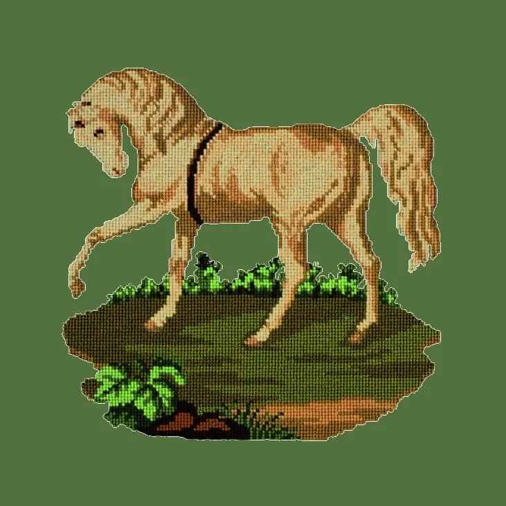 The Palomino