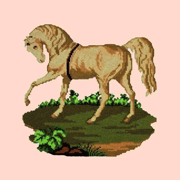 The Palomino