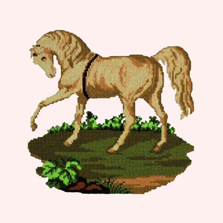 The Palomino