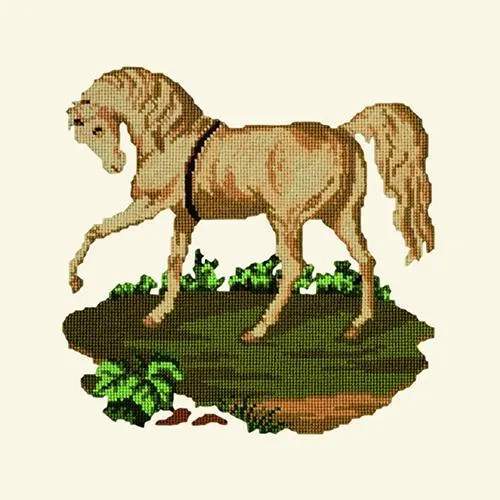 The Palomino