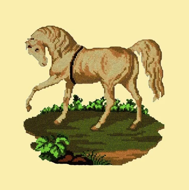 The Palomino