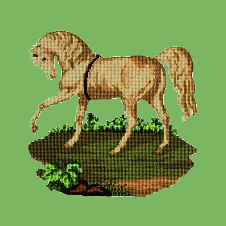 The Palomino