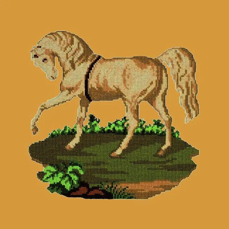 The Palomino
