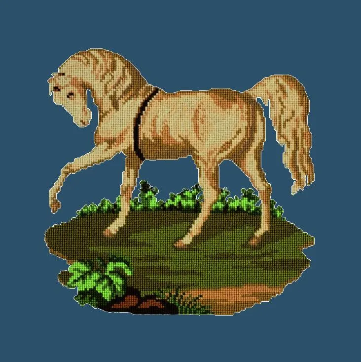 The Palomino