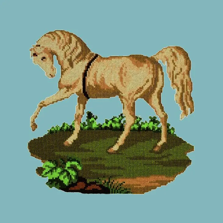 The Palomino