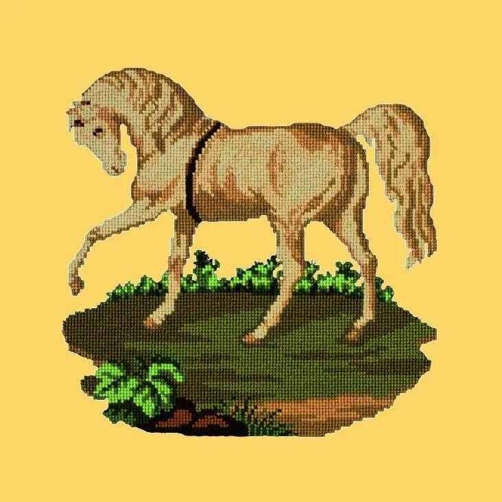 The Palomino