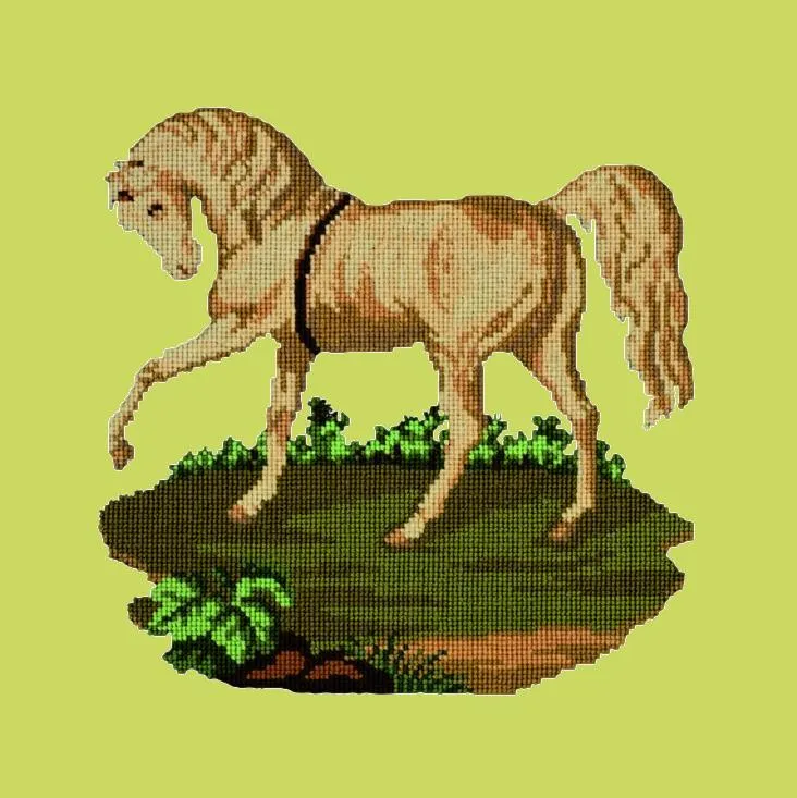 The Palomino