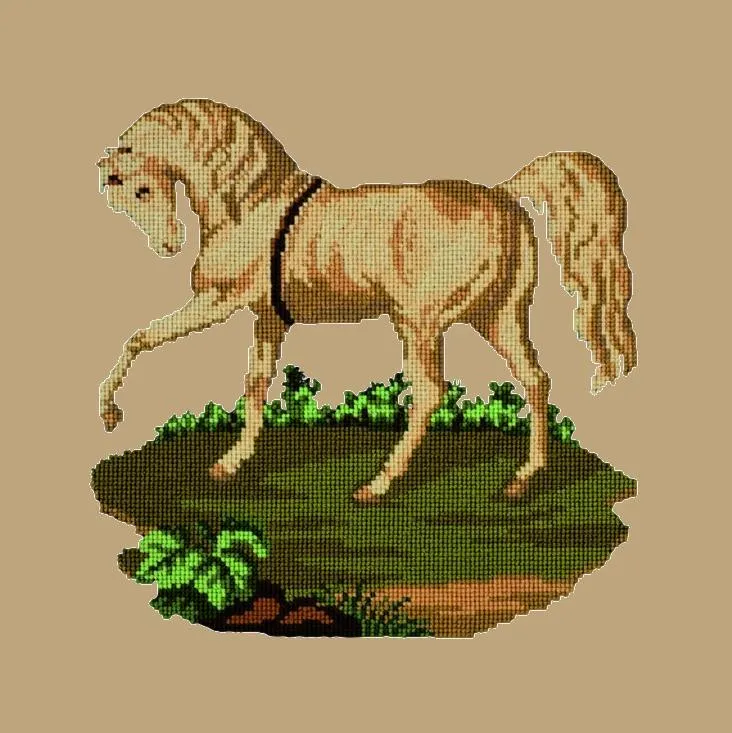 The Palomino