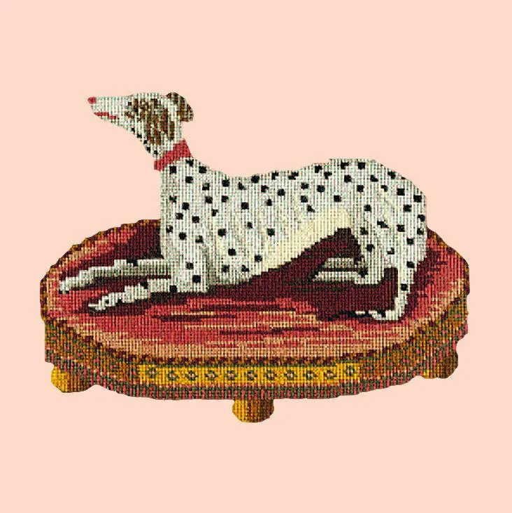 The Spotted Dog