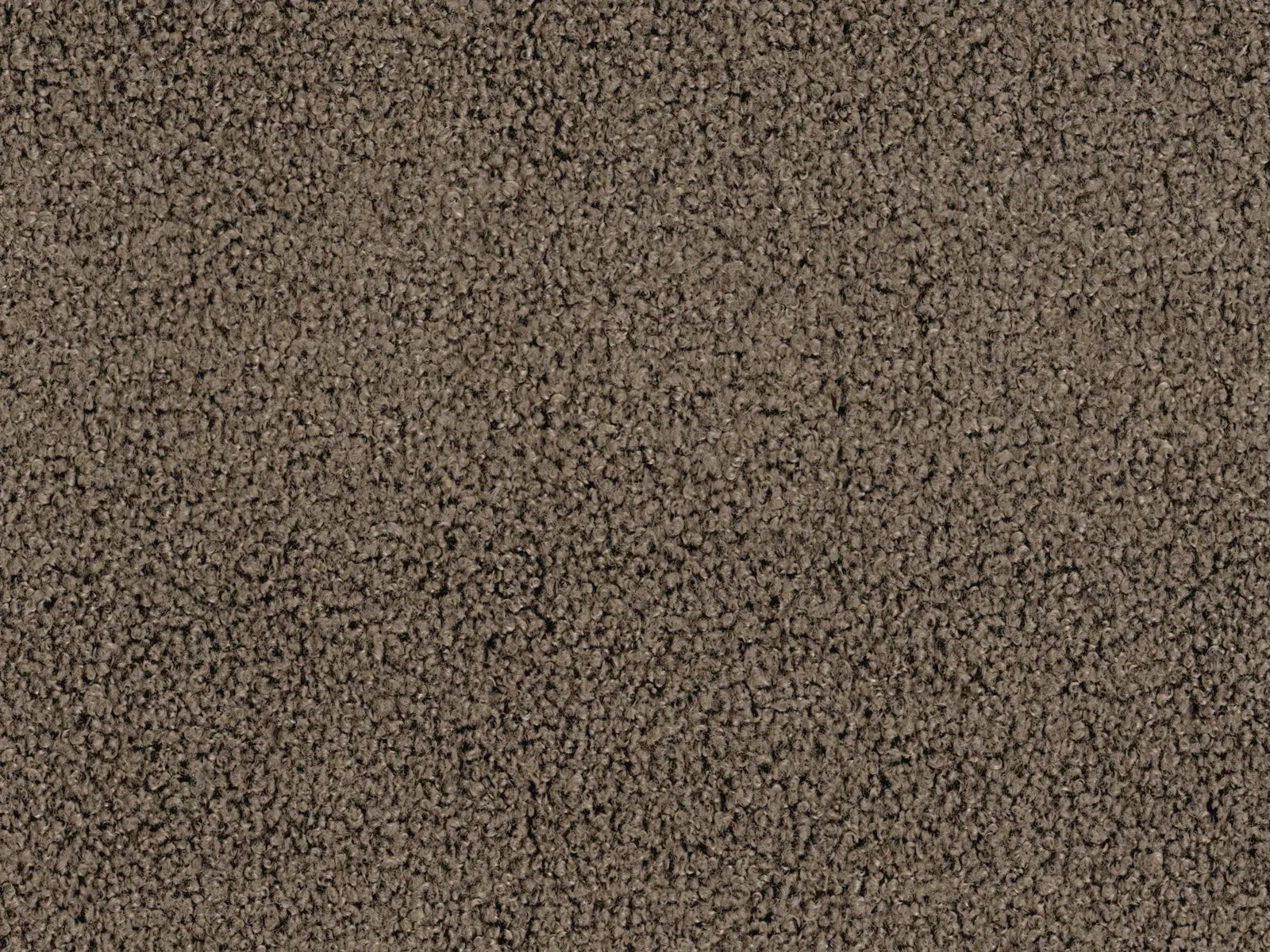 Umbria - UMB3076 Truffle